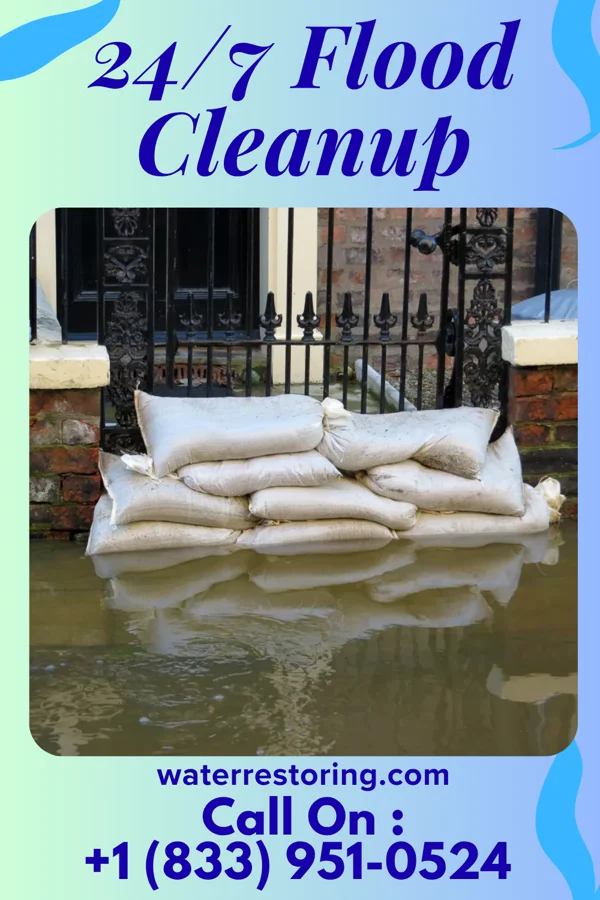 24/7 Flood Cleanup in Sammons Point, IL