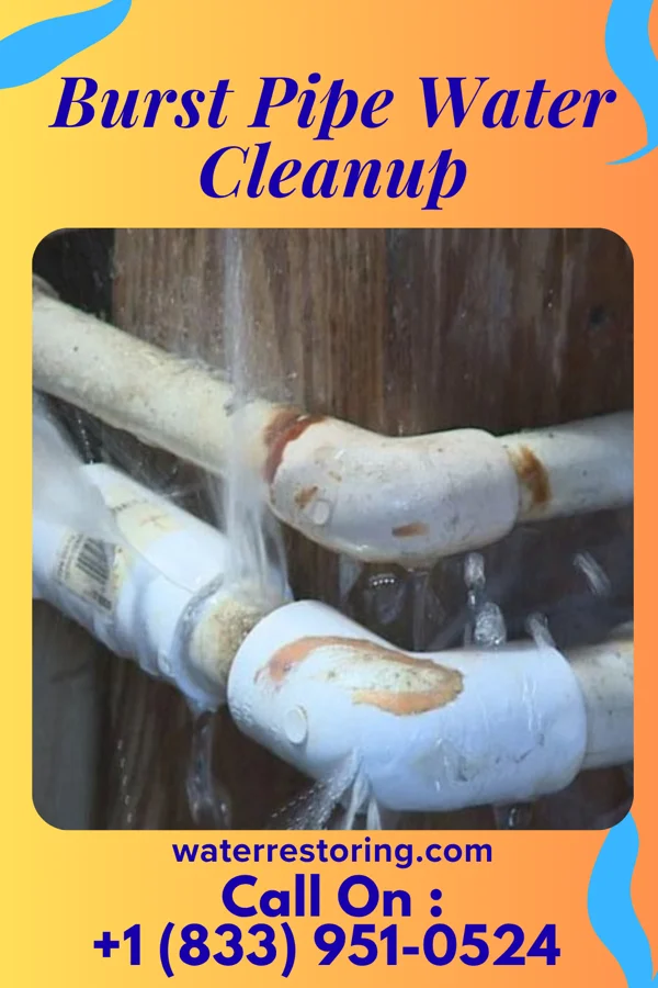 Burst Pipe Water Cleanup in Sammons Point, IL