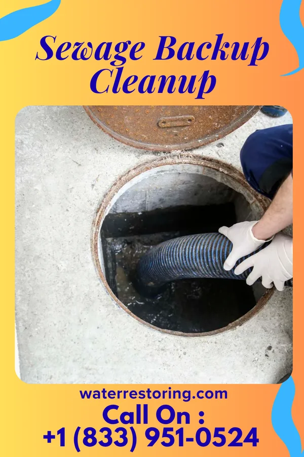 Sewage Backup Cleanup in Sammons Point, IL